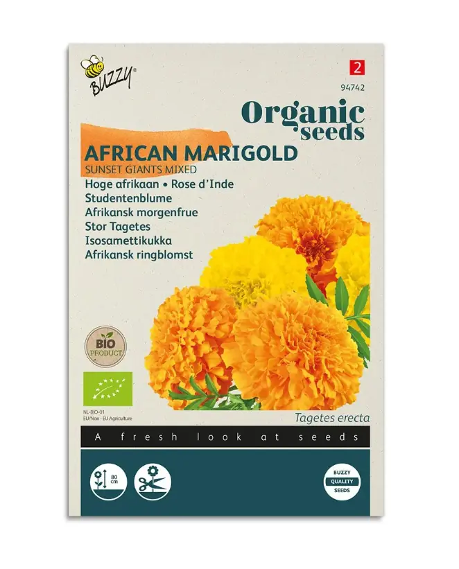 Saatgut afrikanischer Sonnenuntergang Riesen 1 Gramm Organic Tuinplus