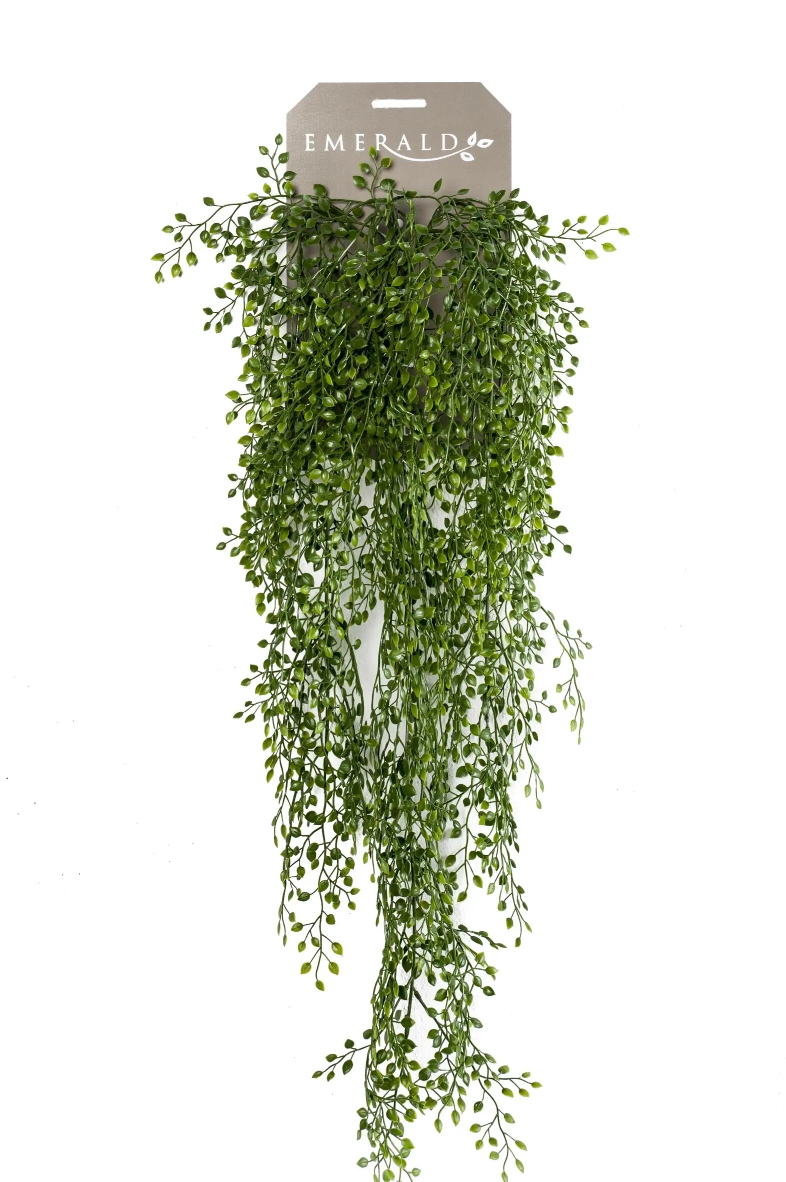 Seidenpflanze hängend an Kutter Jasmin Kunstpflanze Kollektion Driesprong